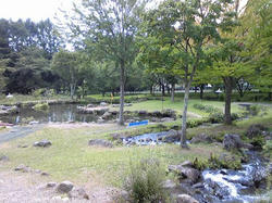 d8f88322.jpg