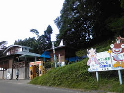 7aa7a30d.jpg