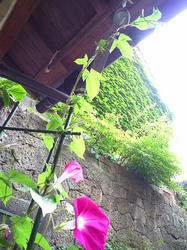 d0f50e14.jpg