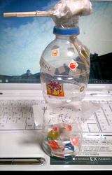 b2b749d5.jpg