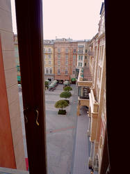 229.jpg