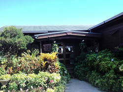 11r.jpg