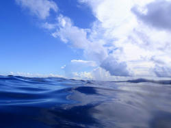 140-9r.jpg