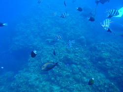 140-20r.jpg