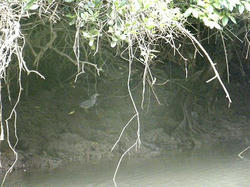 150-27r.jpg