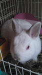 2010.1.22