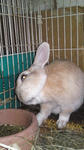 2010.1.22