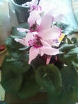 2011.1.7