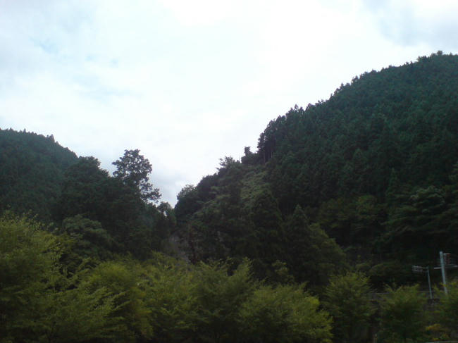 SN380258.JPG