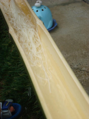 image2356.jpg
