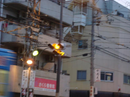 image4564.jpg