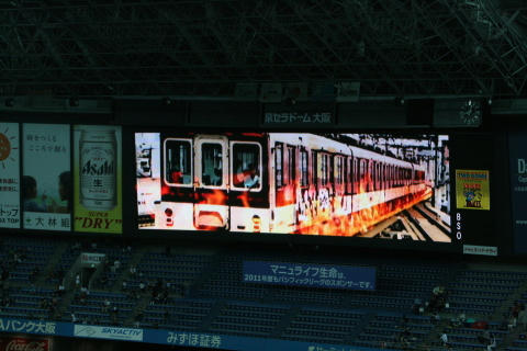 image445.jpg