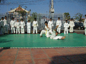 judo2.gif