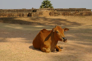 IMGP4092.jpg