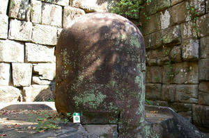 IMGP3529.jpg