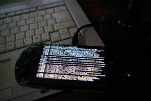 _IGP5087.JPG