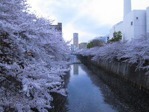 IMG_1116.JPG