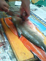 090912_salmon03s.jpg