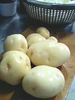 100710_potato.jpg