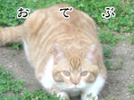 a7541aa7.jpeg