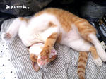 DSCF0184.jpg