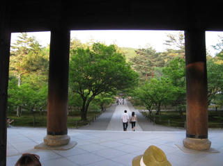 IMG_5874.jpg