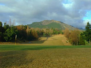 2492dee8.jpg