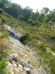 dsc05803.jpg