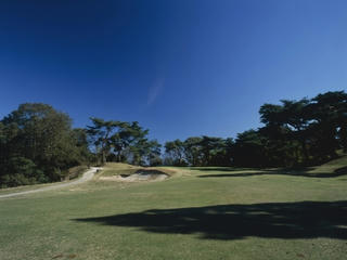 1110.jpg