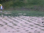 DSCN0591.JPG