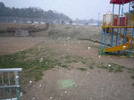 P1100657.JPG