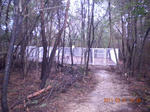 DSCN6237.JPG