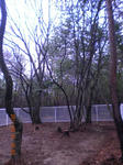 DSCN6242.JPG