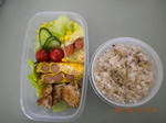 DSCN6820.JPG