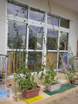 DSCN7431.JPG