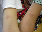 DSCN7508.JPG