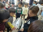 P1100290.JPG