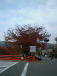 PB140257rr.jpg