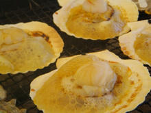 20091004_08.jpg