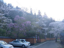 20100501_06.jpg