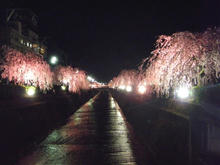 20100501_11.jpg