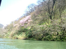 20100502_03.jpg