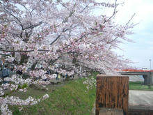 20100502_08.jpg