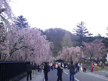 20100502_09.jpg