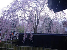 20100502_10.jpg
