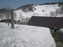 20100503_02.jpg