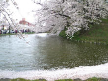 20100503_09.jpg