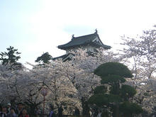 20100503_12.jpg