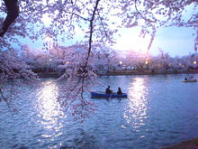 20100503_13.jpg