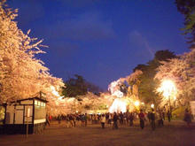20100503_14.jpg